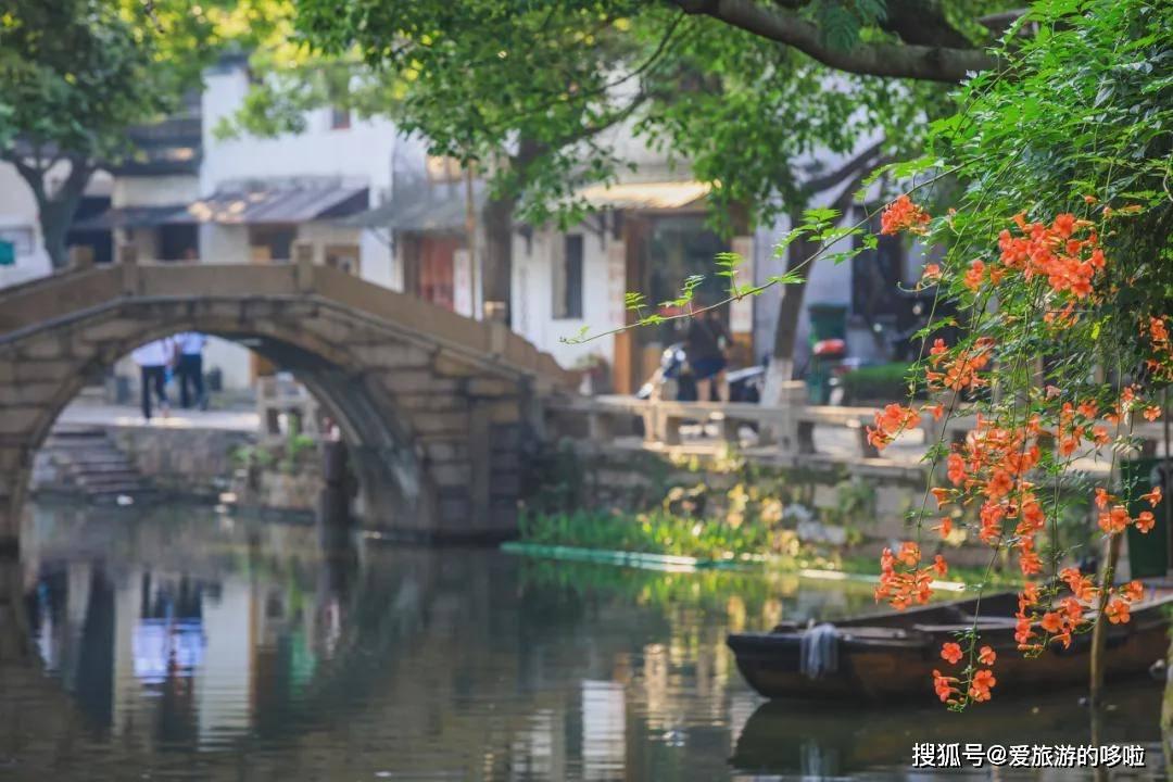 冷知识分享平台上海并未接到猴痘病例报告,关于上海有猴痘病例的谣言是怎么传出来的?,独一无二的知识之旅